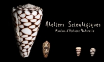 Les Ateliers Pédagogiques du Muséum