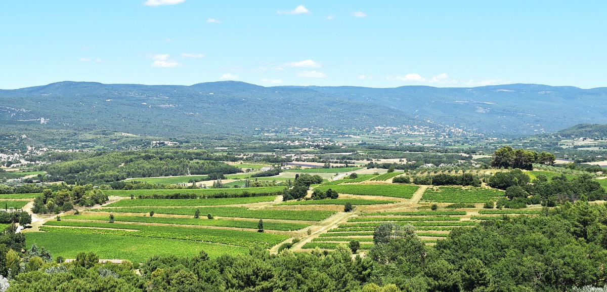 paysage du vaucluse